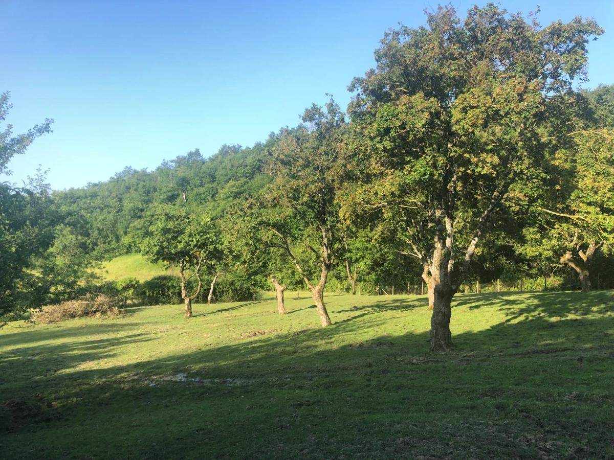 Podere Badia Valdrago Agriturismo Mugello Circuit Скарперия Экстерьер фото